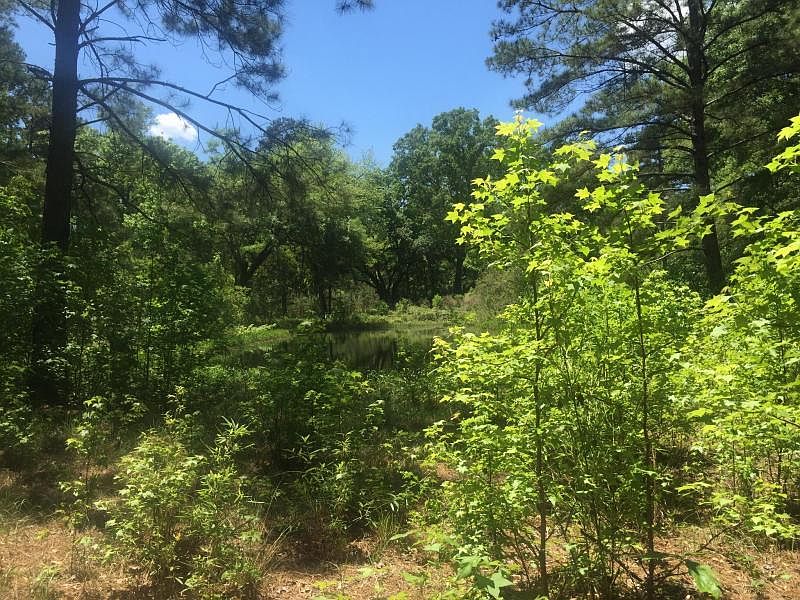 1st image of 8035 Little Britton Rd