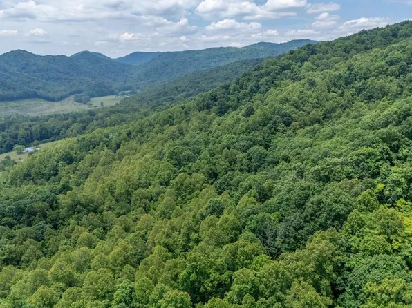 Trot Valley Rd, Stuart, VA 24171