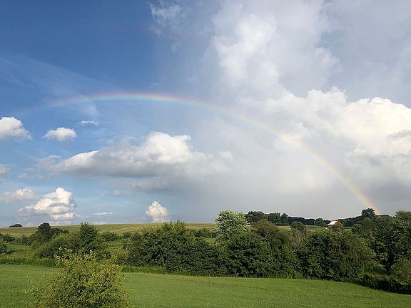 Amazing views in backyard