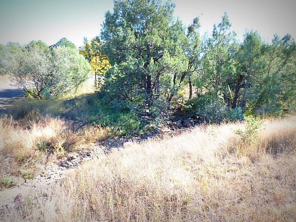 5th image of 204 S Black Forest Cir