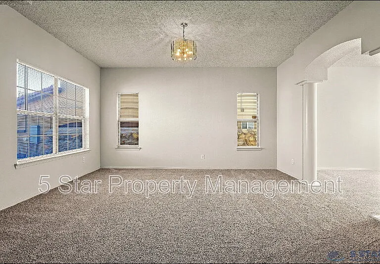 1315 Olga Mapula Dr — Photo 19