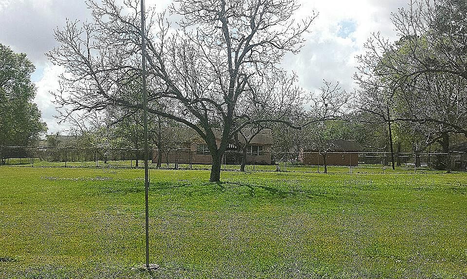 1st image of 204 Melody Ln