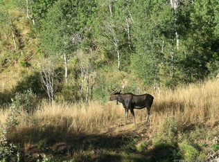 1171 W Oak Rd, Coalville, UT 84017