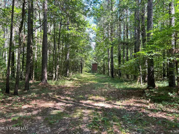 Shell Oil Rd, Brandon, MS 39042