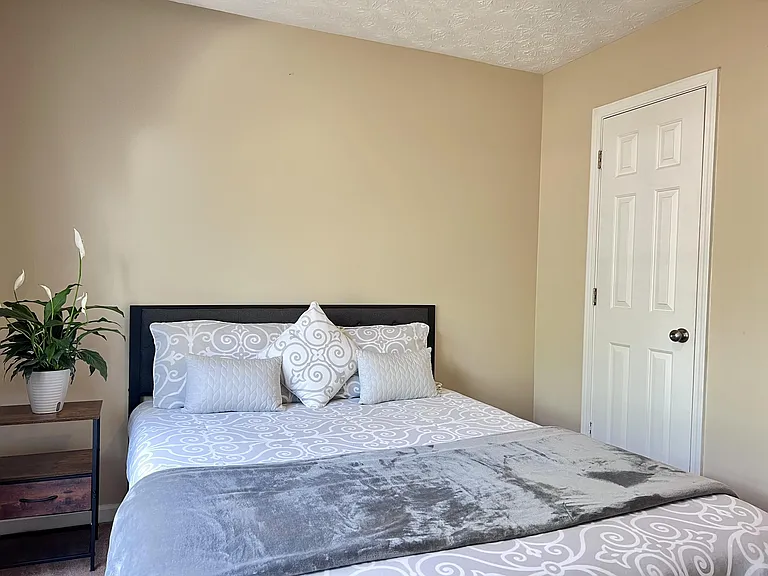 Mill Pointe Cv — Photo 5