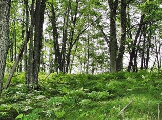 3.00 Acres Stevenson Road, Wausaukee, WI 54177