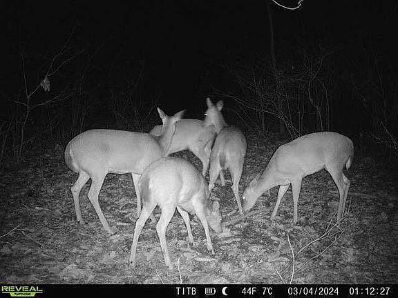 5th image of 0 Union Hill Rd #12
