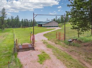 25251 Holiday Trl, Custer, SD 57730