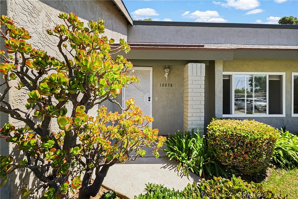3 bed, 1.5 bath, 1262 sqft, $3,500 — Photo 2