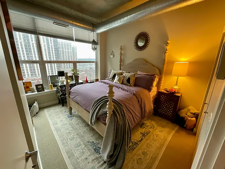 1305 S Michigan Ave #1011 — Photo 12
