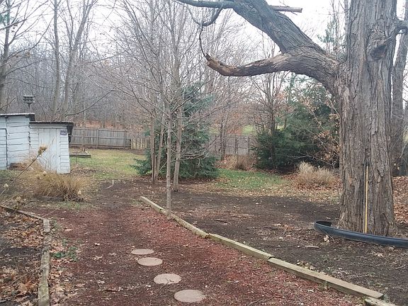 Winter picture
