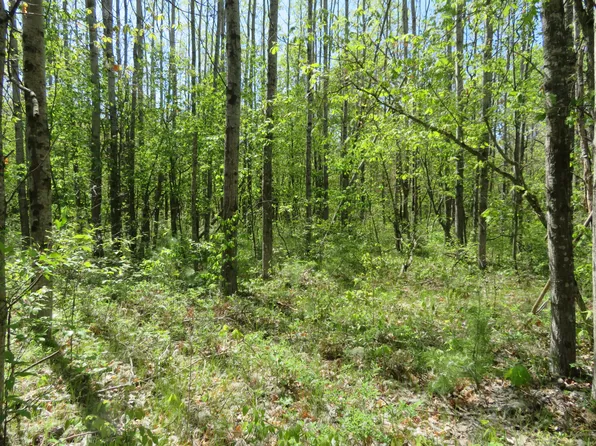 0 Hoxeyville Rd Parcel 2, Wellston, MI 49689