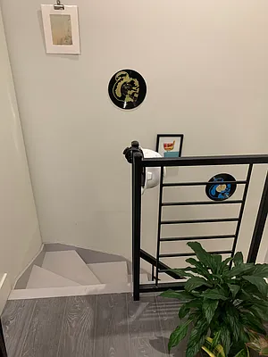 Rented by Voro, LLC | media 4