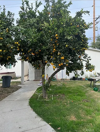 1632 Gould St Photo 1