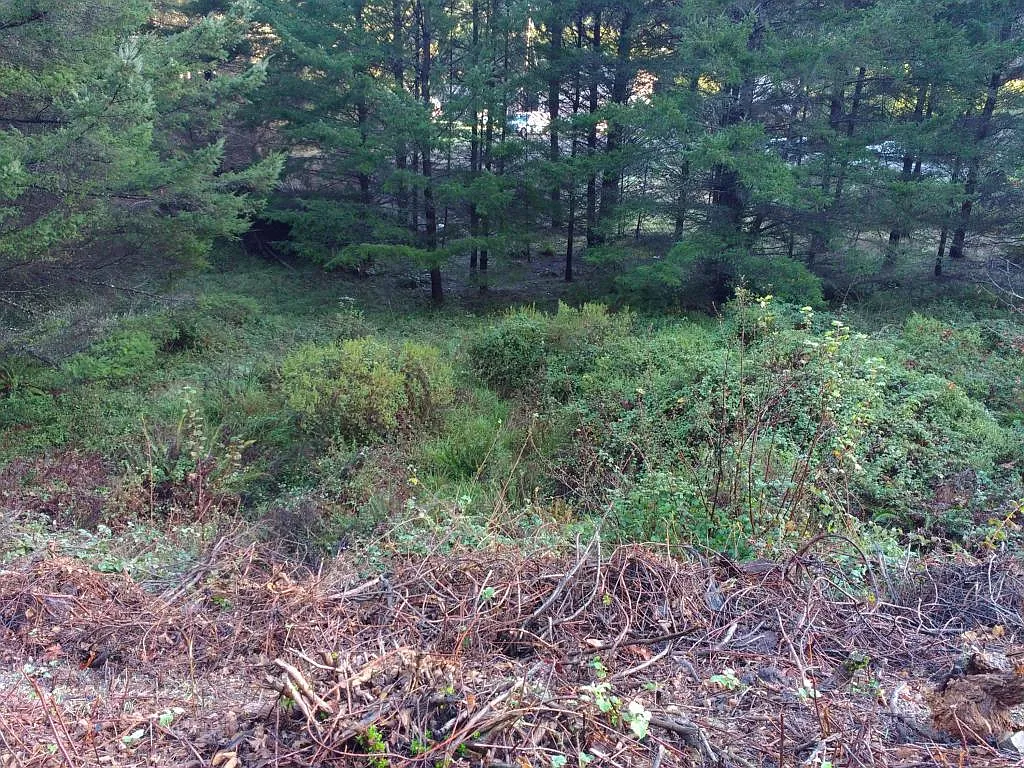 233 Redwood Rd photo 1