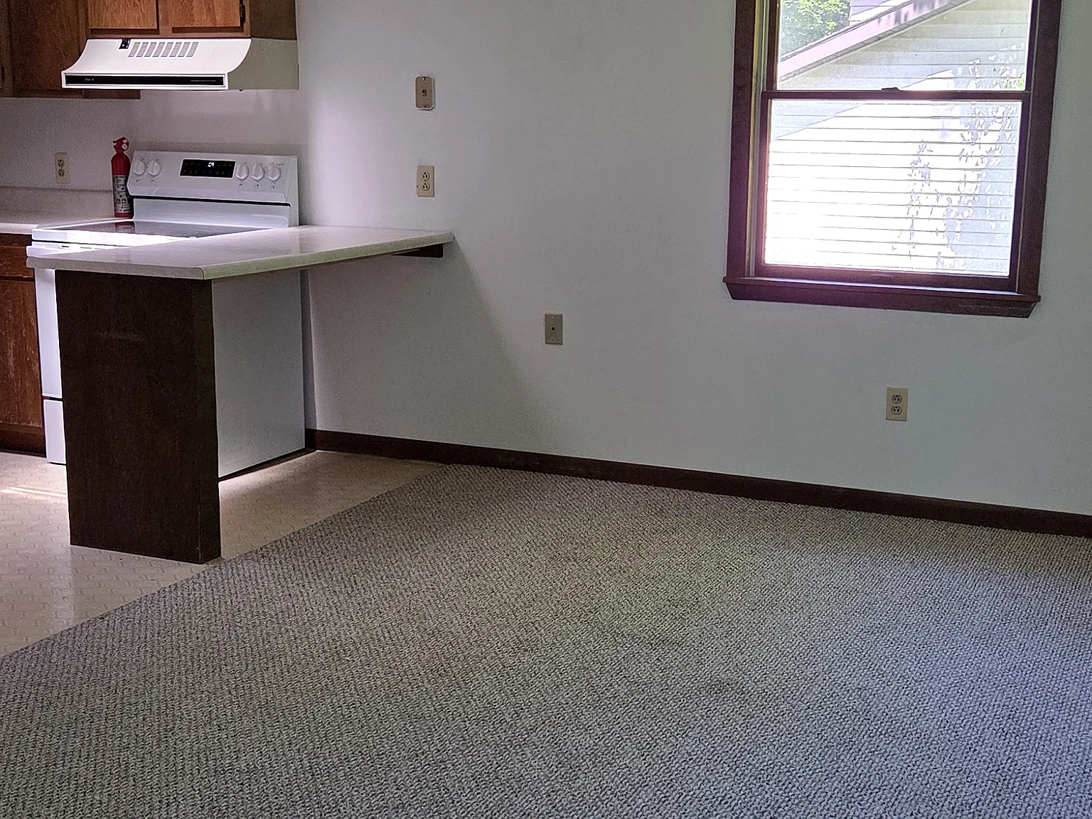55 White St — Photo 3