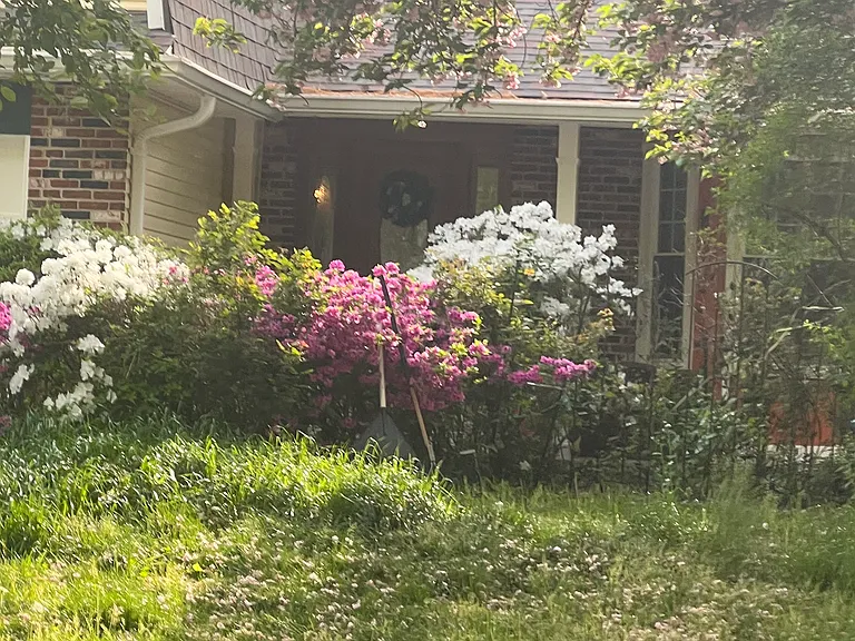 Gatlin Dr — Photo 7