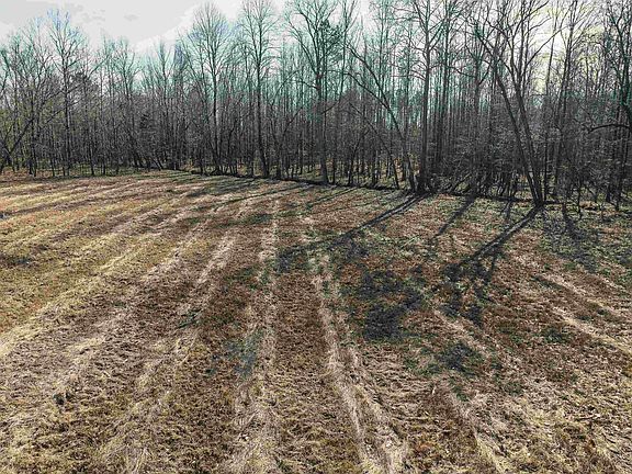 6th image of 198 McIllwain Rd N