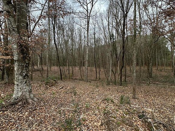 5th image of 0 Futch Rd