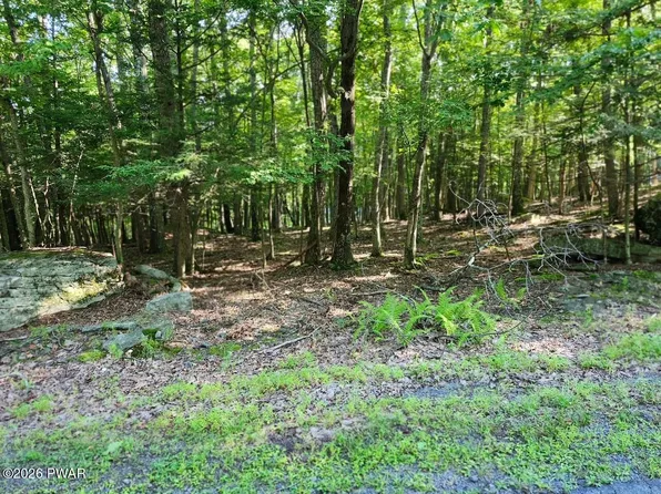 Squaw Valley Ln, Tafton, PA 18464