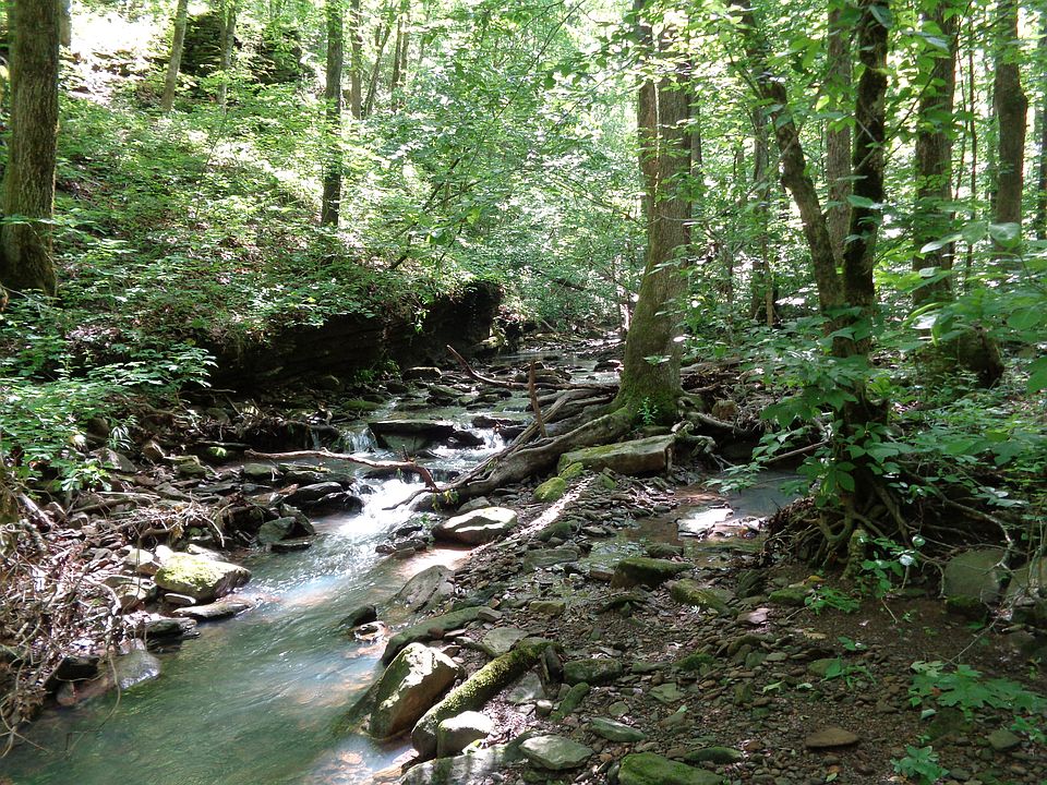 creek by roadway