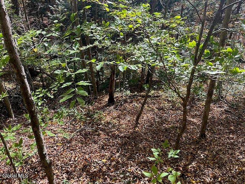 3rd image of 140 Stonewall Path
