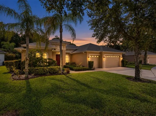 14834 MAN O WAR DRIVE, ODESSA, FL 33556