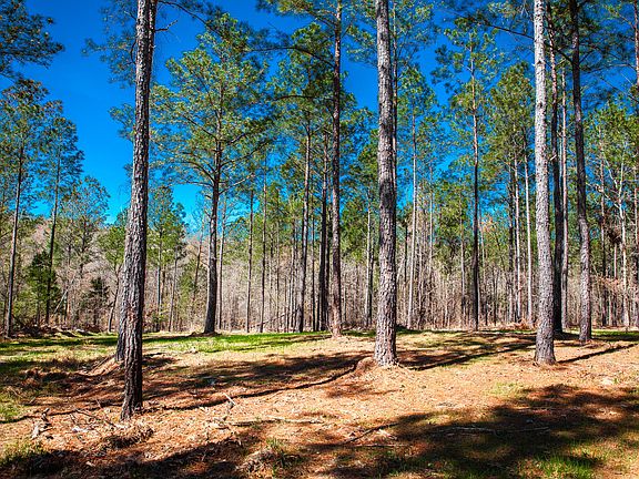3rd image of 00 Mt. Zion Road