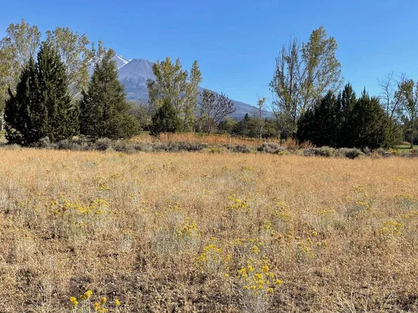 Lotz Ct #5, Weed, CA 96094