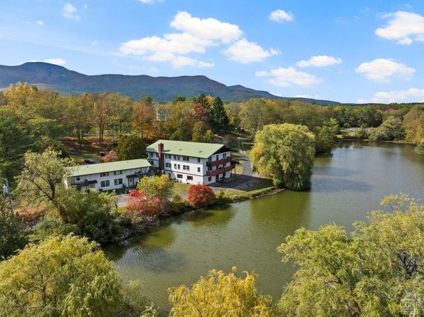 866-872 Mountain Ave, Purling, NY 12470