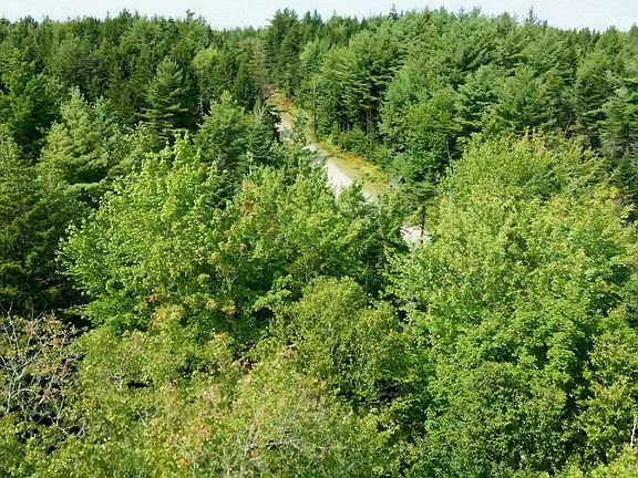 5th image of 5 Robert Rd