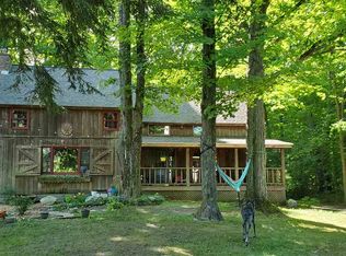 8262 Hilltop Rd, Alanson, MI 49706