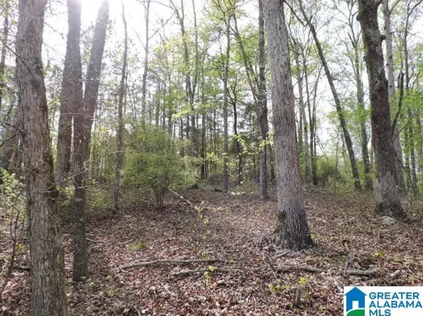 94 Wright Way Dr #94, Wedowee, AL 36278
