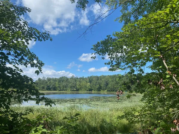 Pot O Gold Rd, Danbury, WI 54830