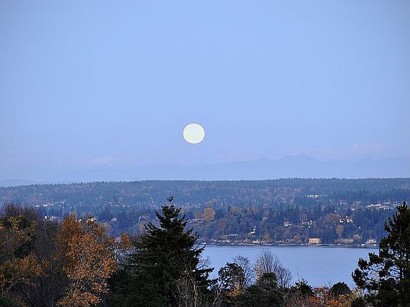 View From MasterBdrm