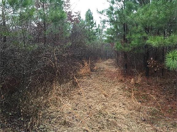 4th image of Cypress Dr