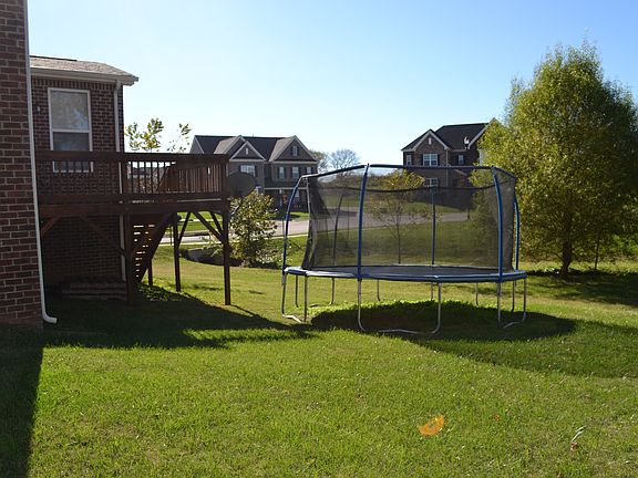 Backyard from side view