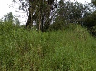 Hulu St LOT 95, Volcano, HI 96785