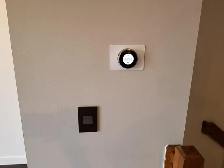Nest and Upgraded Switches