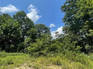 135 Pats Ln, Clyde, NC 28721