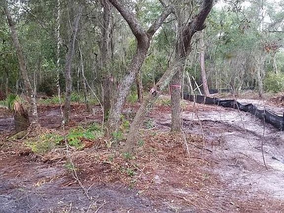 3rd image of 196 Oaklea Dr