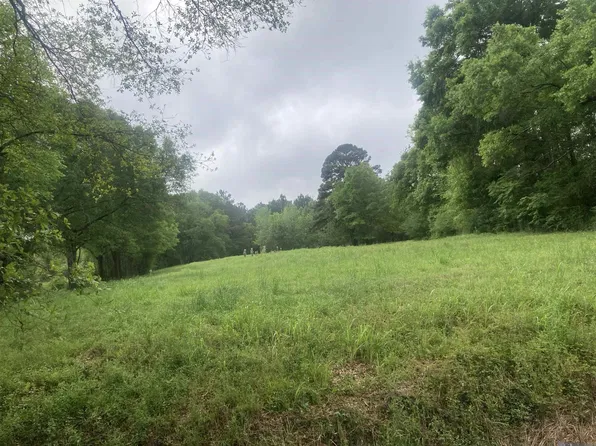1218 Rodeo Dr, Denham Springs, LA 70726