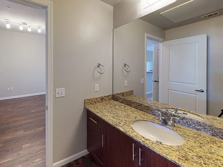Apartment bathroom with wood-style flooring.