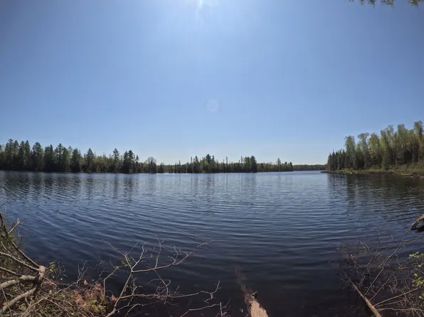 Fence Lake Rd, Michigamme, MI 49861