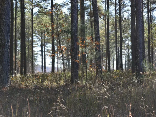 0 Split Rail Way Lot 1131, Guild, TN 37340