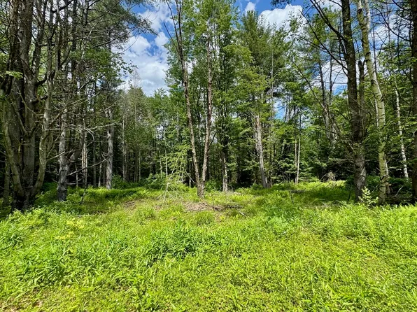 0 Shelburne Falls Rd, Conway, MA 01341