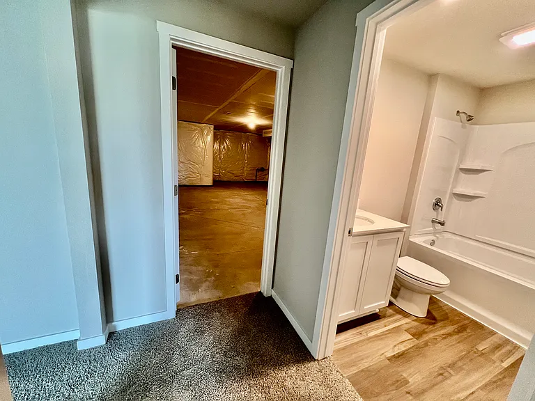 Basement Bathroom