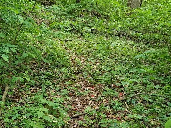2nd image of 1017 Hitt Ln