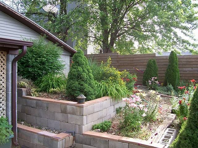 Garden in backyard