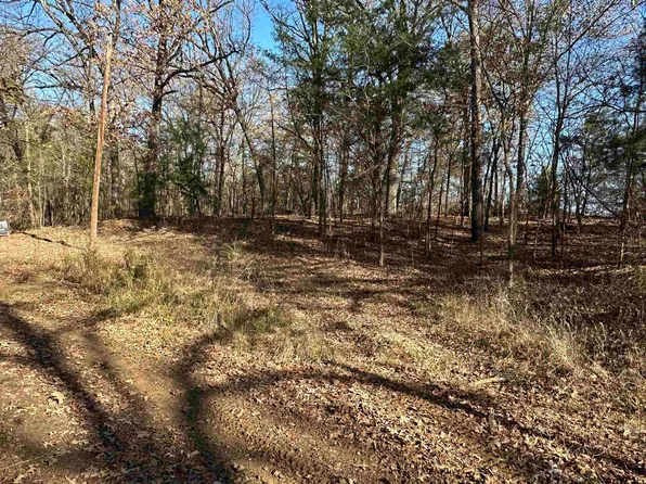 81 County Road 2614, Pittsburg, TX 75686